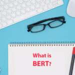 What is BERT? Full Form of BERT |  Work and History